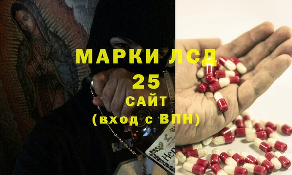 apvp Алзамай